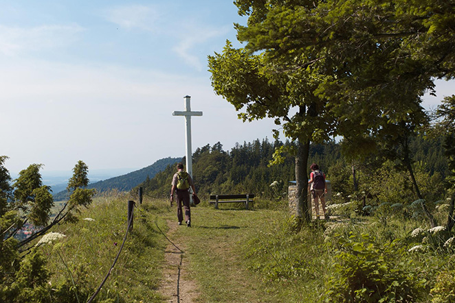 Wanderweg bei Gosheim