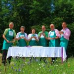 Donauwelle Eichfelsen-Panorama