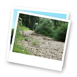 polariod-donauversickerung polariod-donauversickerung