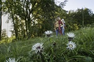 wanderer-bei-kraftstein9fdc