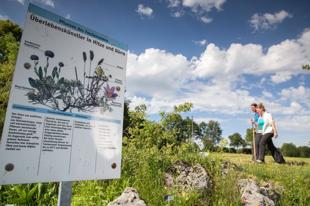 Felsengarten bei Eichfelsen