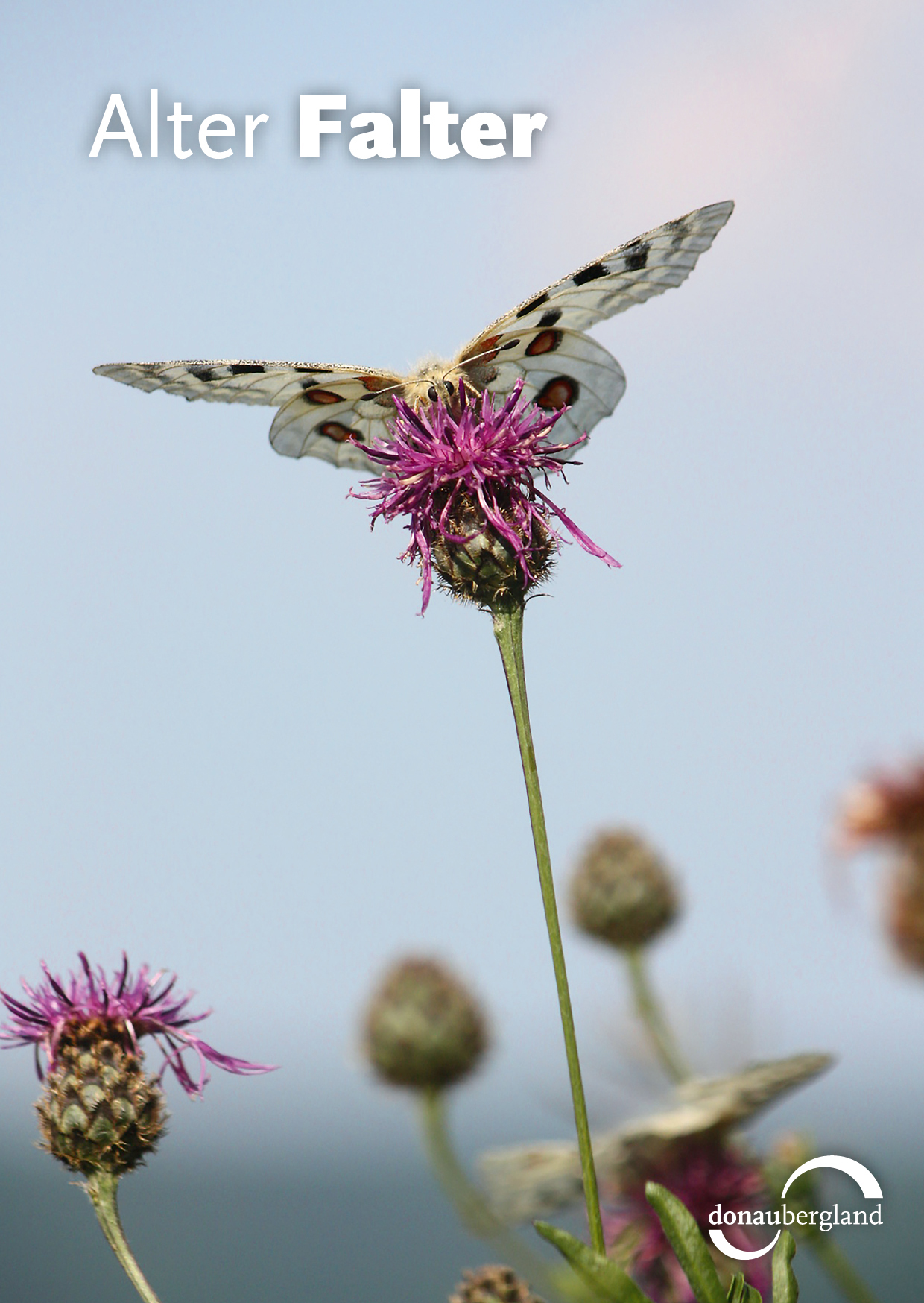 alter-falter