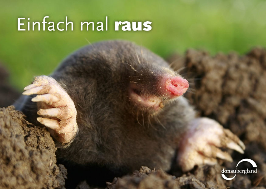 einfach-mal-raus Raus in die Natur mit Abstand