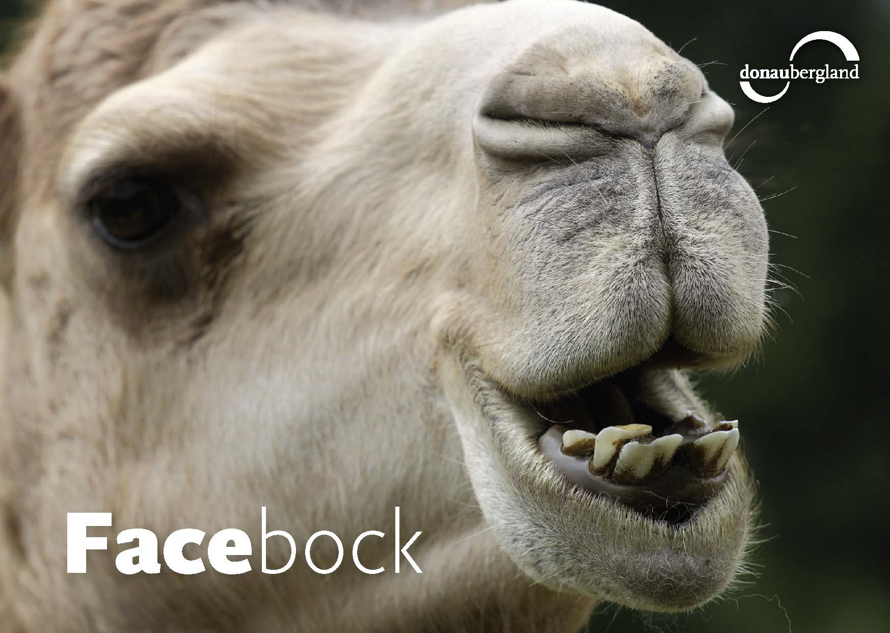 facebock