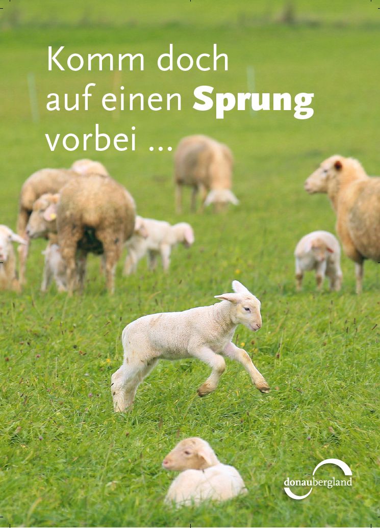 komm-doch-auf-einen-sprung-vorbei