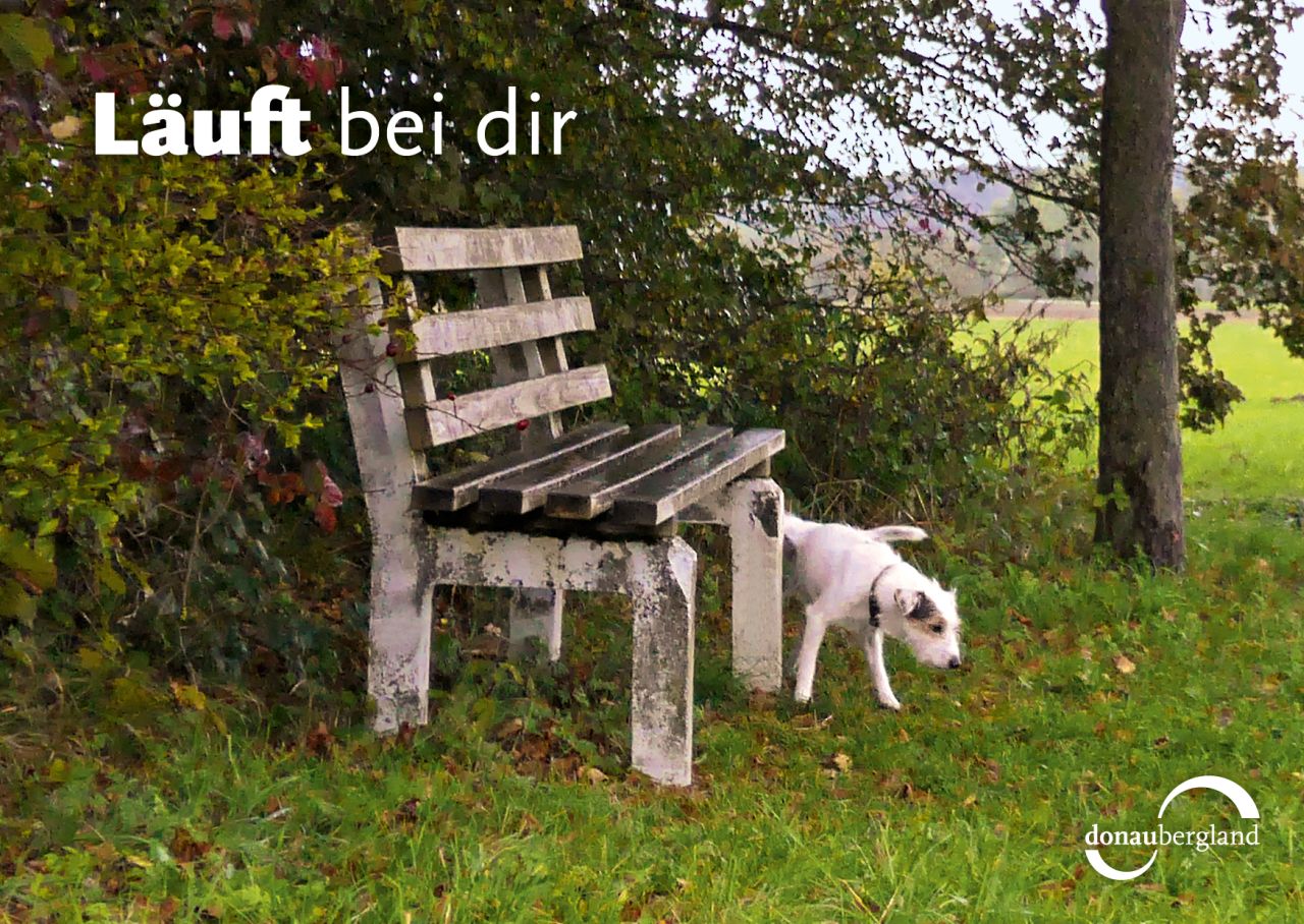 laeuft-bei-dir
