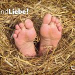 landliebe freilichtmuseum neuhausen ob Eck donaubergland