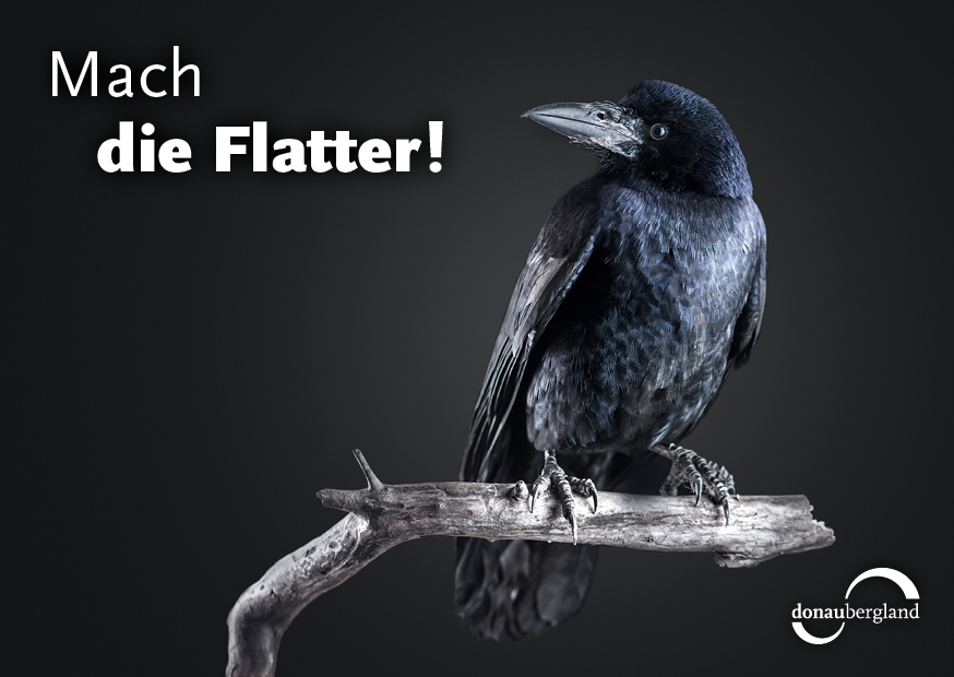 mach-die-flatter