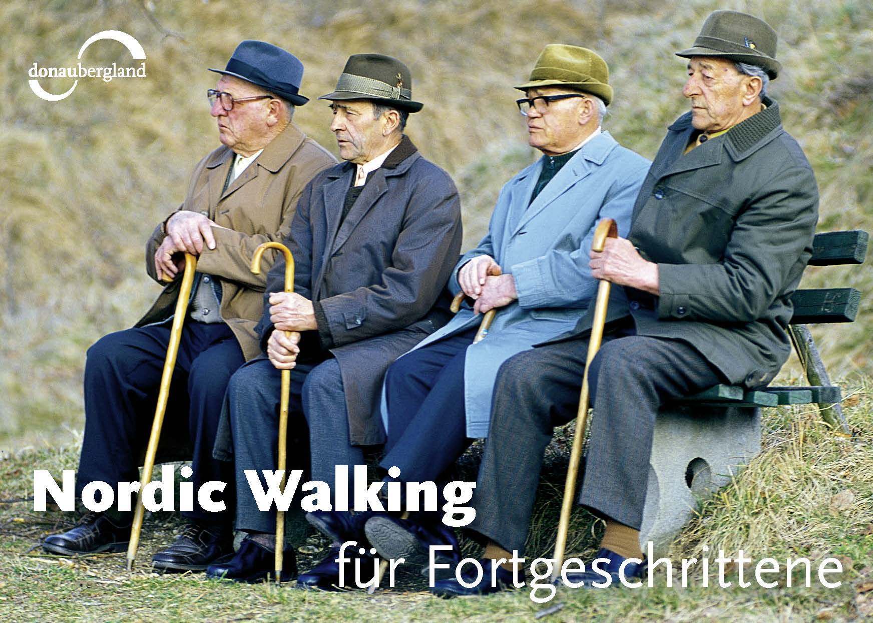 nordic-walking-fuer-fortgeschrittene-