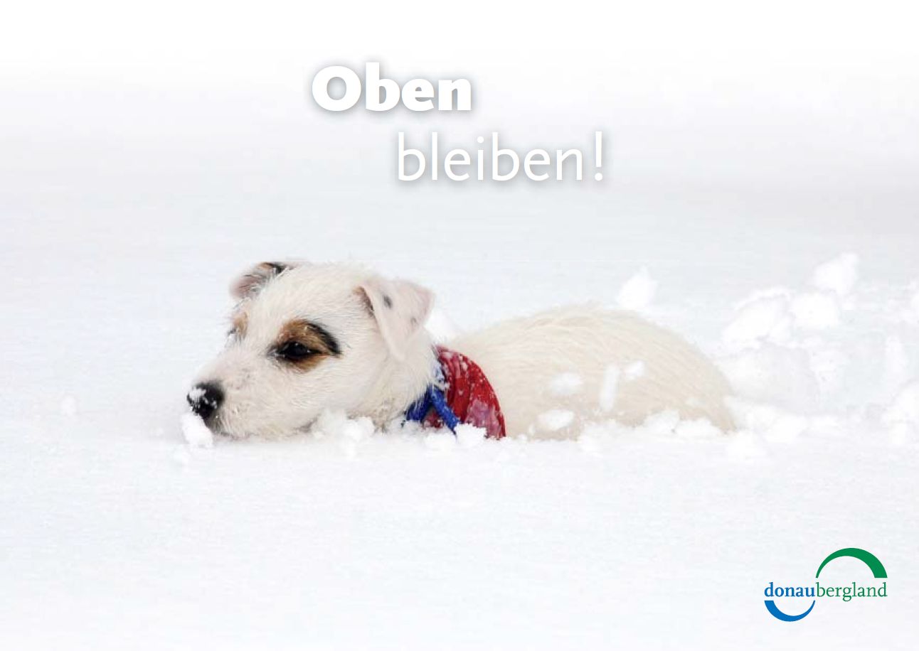 oben-bleiben