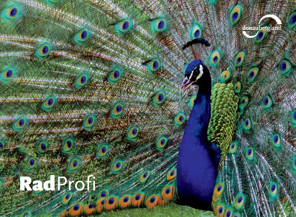 radprofi Radprofi