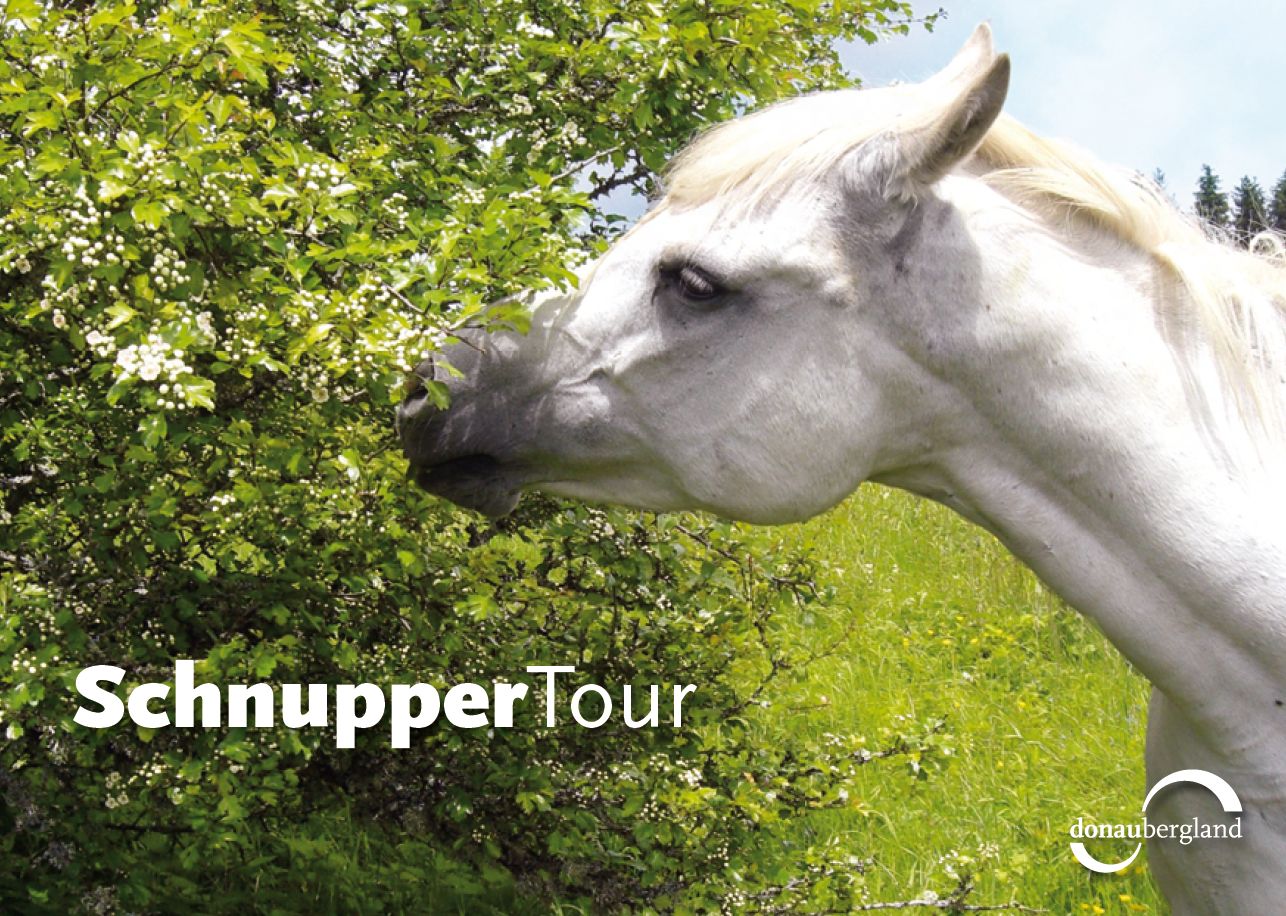 schnuppertour