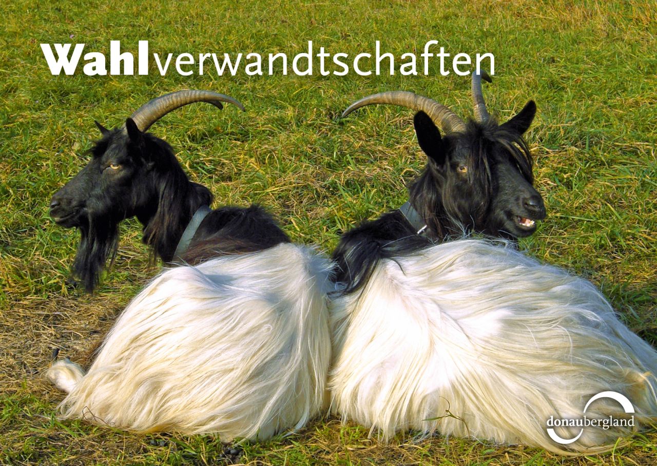 wahlverwandtschaften