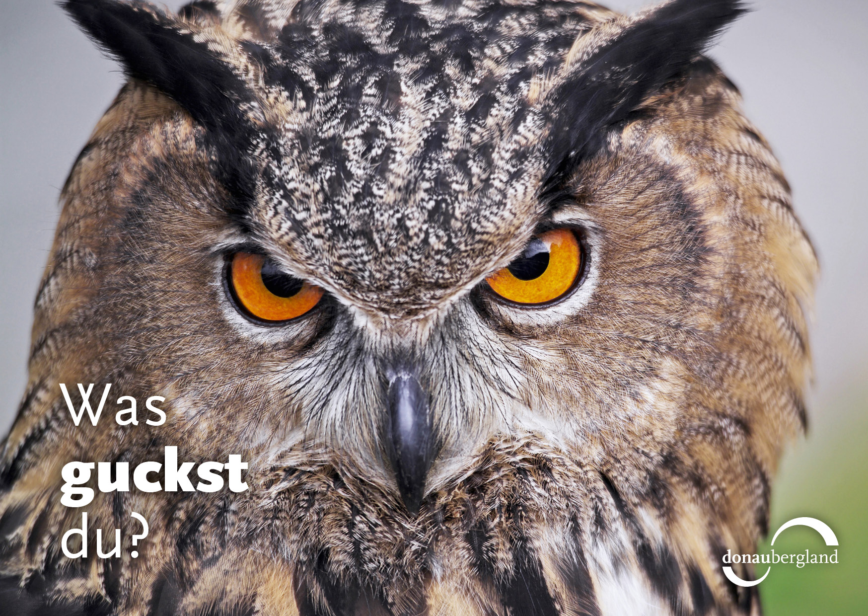 was-guckst-du