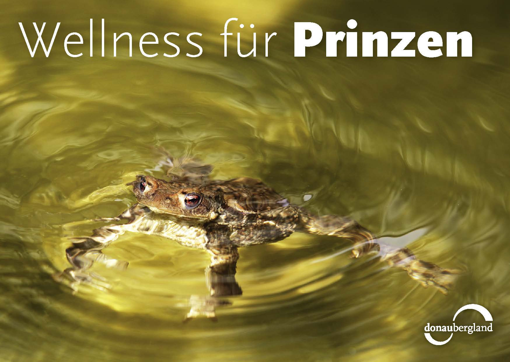 wellness-fuer-prinzen