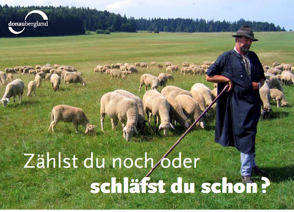 zaehlst-du-noch-oder-schlaefst-du-schon Postkarte Denkingen