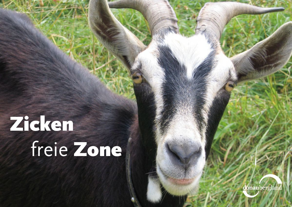zickenfreie-zone