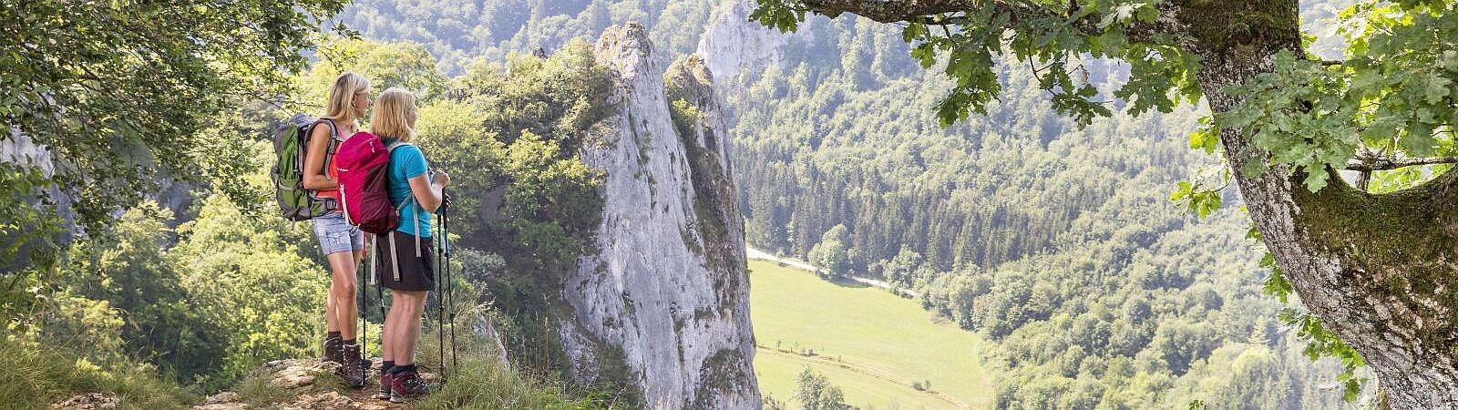 donauberglandweg Stiegelsfels im Donautal
