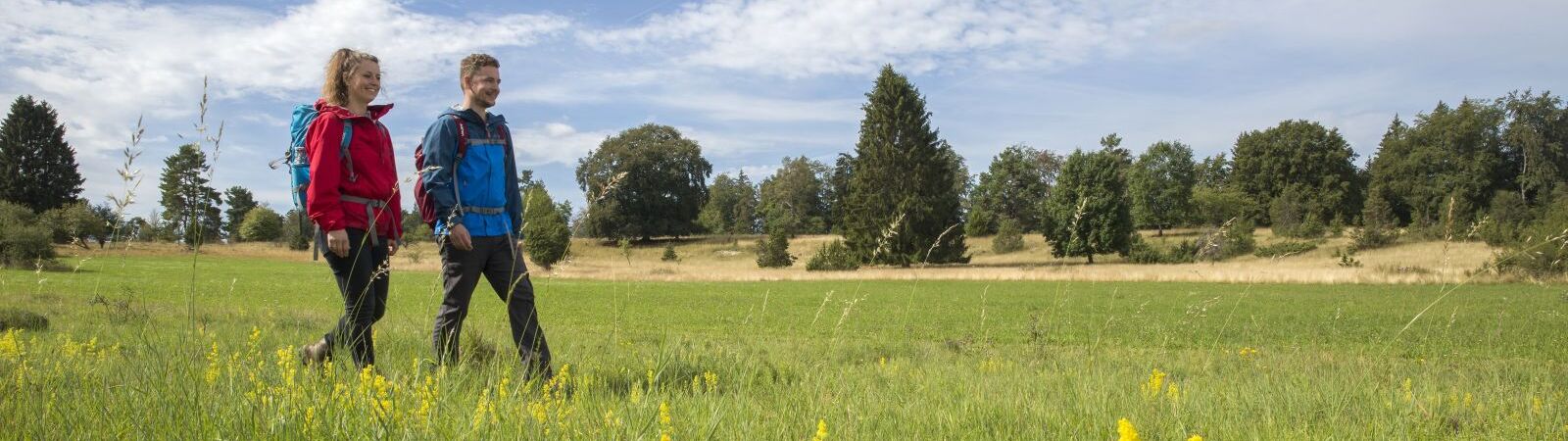 Wandern durch die Natur der Heimat Donaubergland