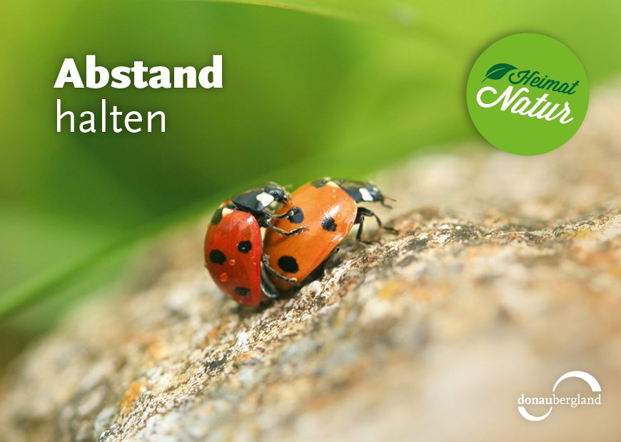 postkarte_heimat_natur_kaefer Abstand halten