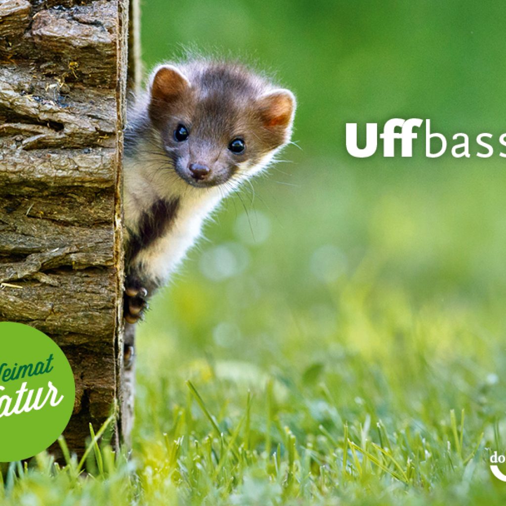 postkarte_heimat_natur_uffbassa