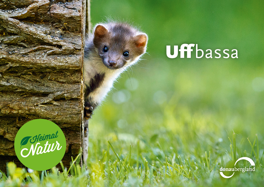 postkarte_heimat_natur_uffbassa