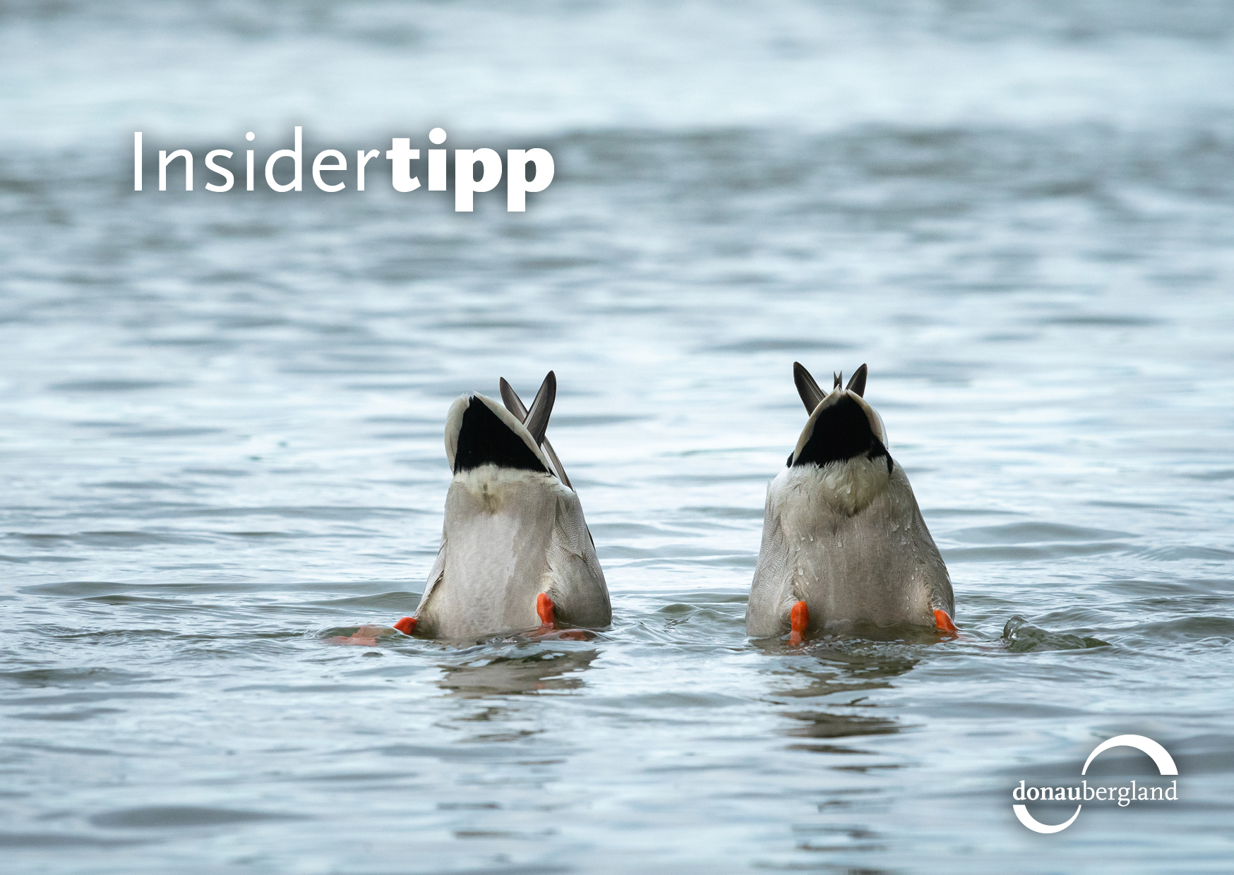 Insidertipp Postkarte Insider Deutschlands Schönste Wanderwege 2022