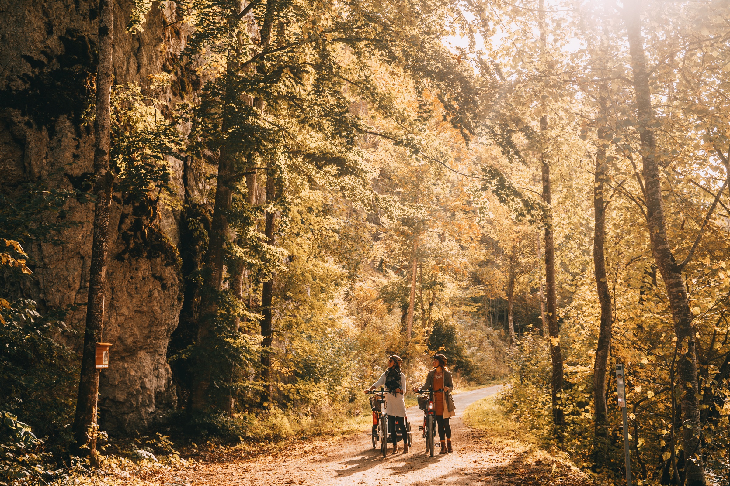 Donauradweg im Herbstlicht