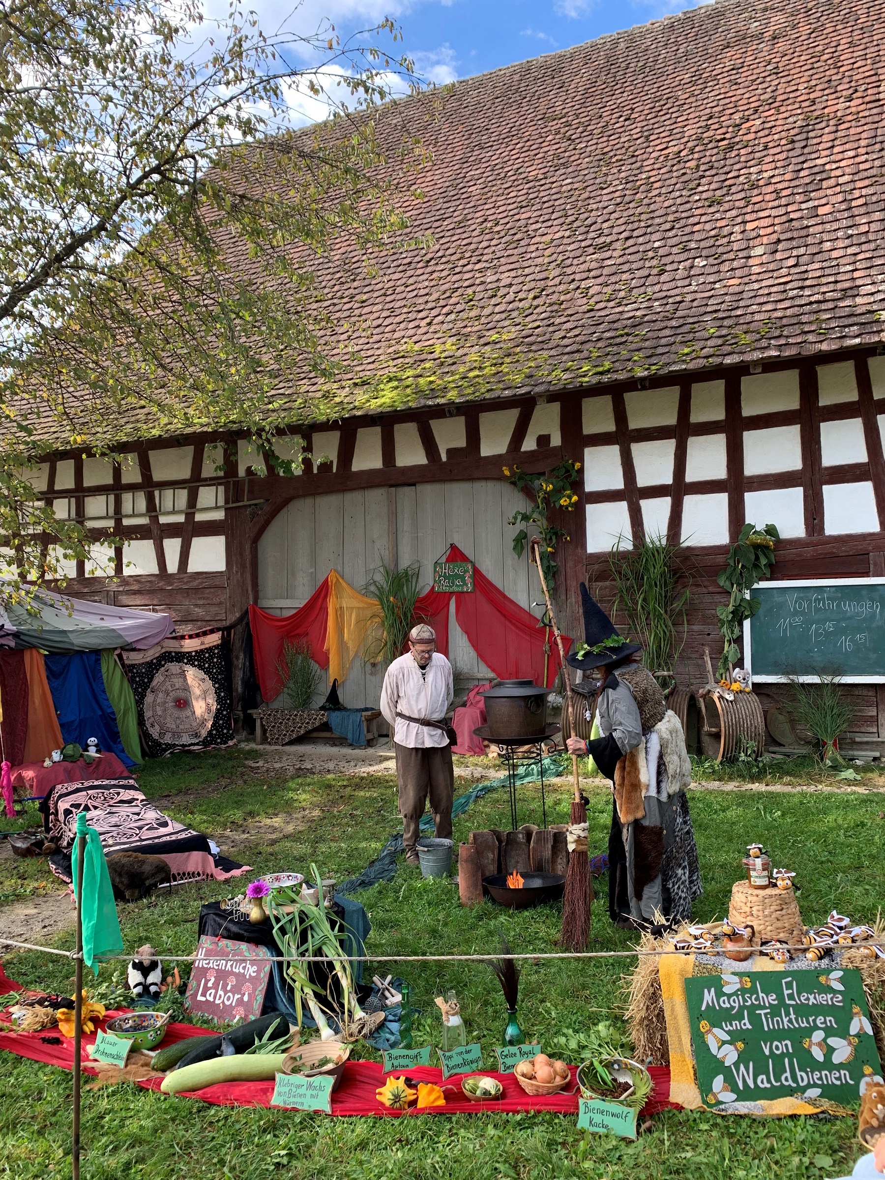 Kirbe im Museum 2_Grüner