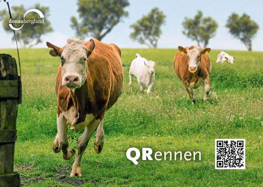 qrennen QR-Code-Postkarte