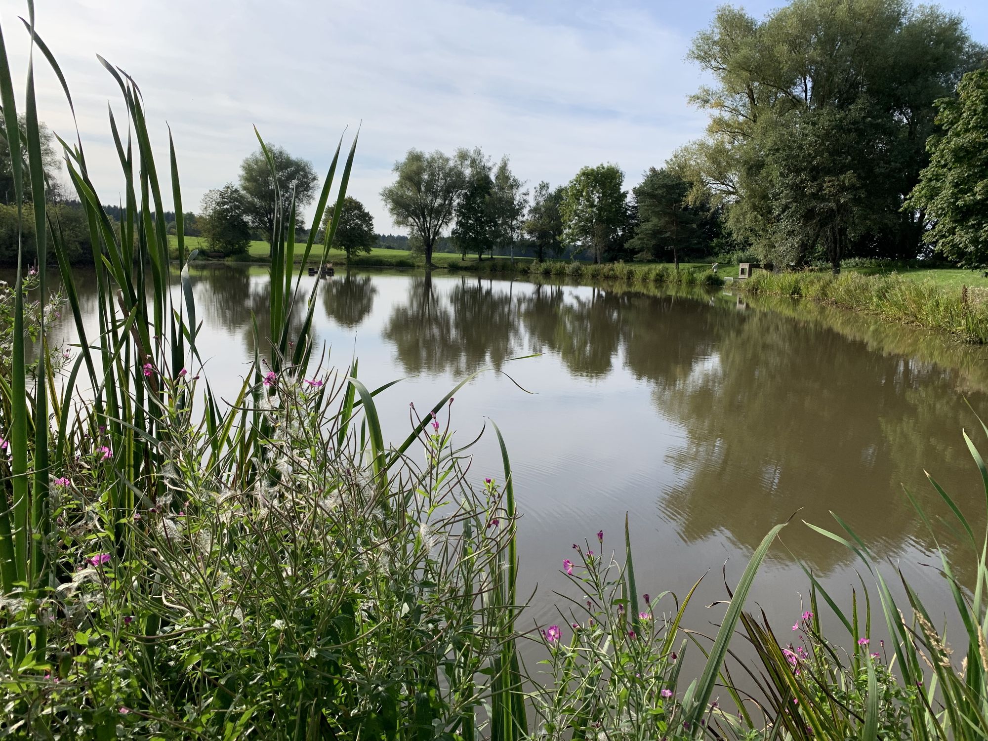 donaubergland_turm-rundweg_riedwiesensee-jpg