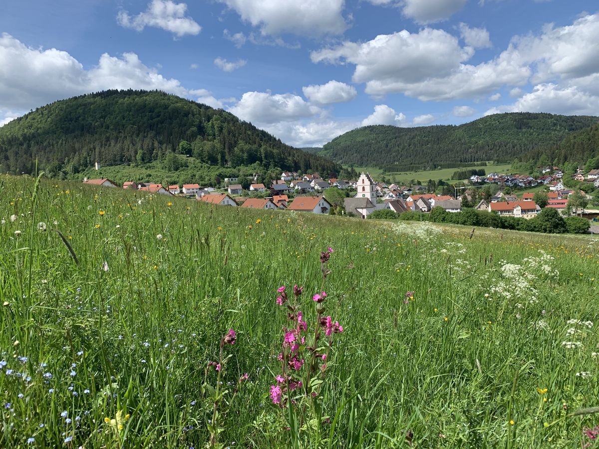 granegg-rundweg_egesheim_web