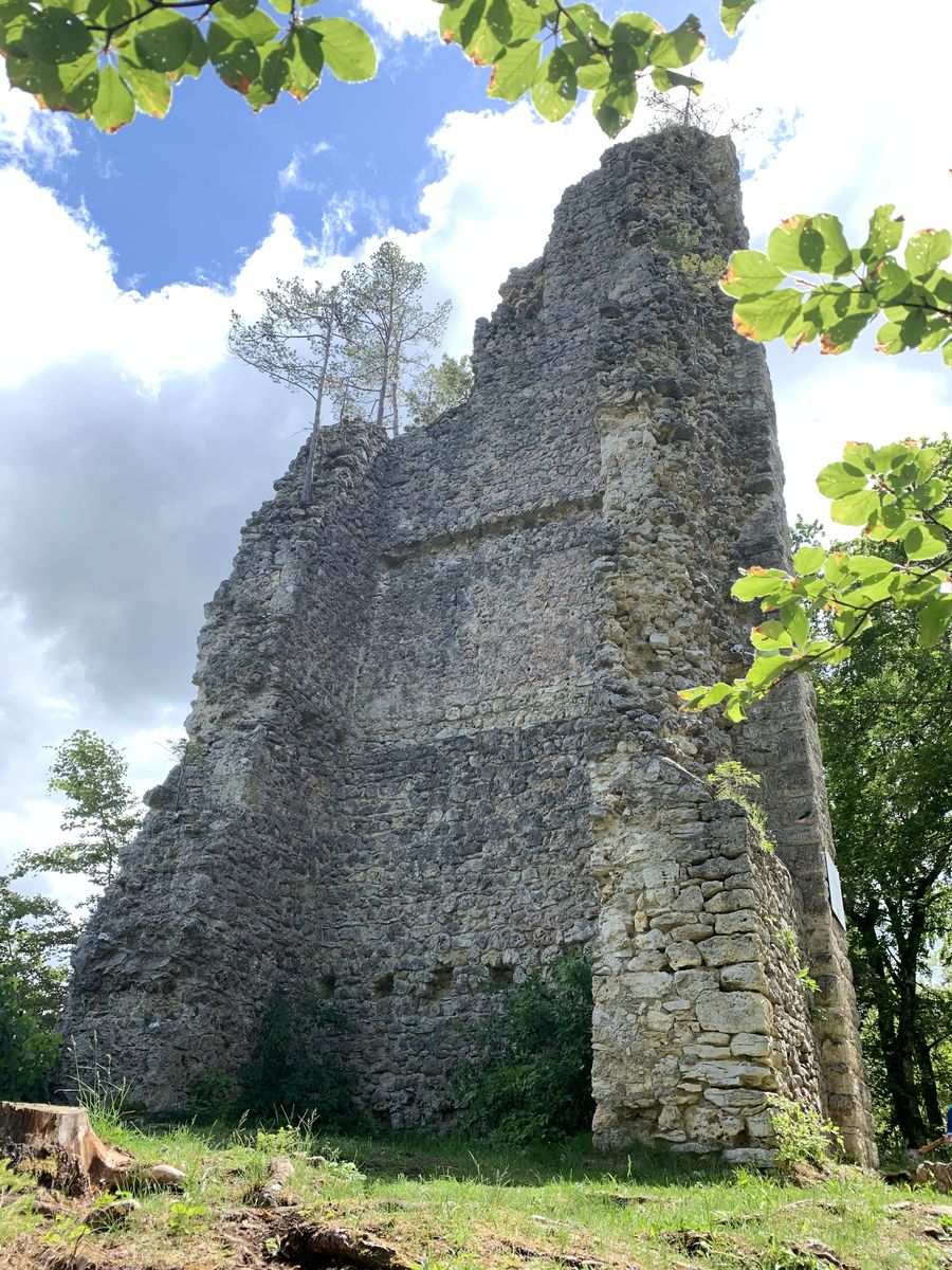 granegg-rundweg_ruine-granegg_web