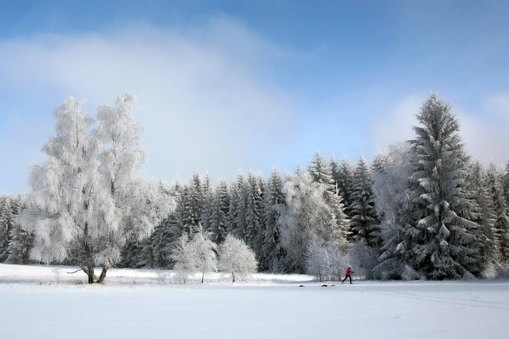 loipe-irndorfer-hardt-jpg