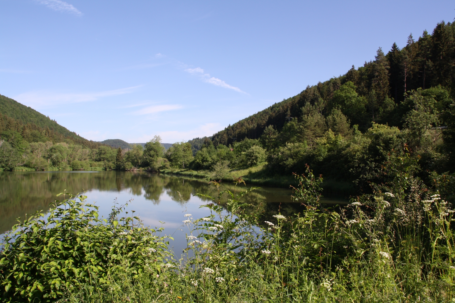 fhd_nsg_kr-henbachtal_bildquelle-donaubergland-gmbh_stadt-tuttlingen_fotografin-janika-m-gerle-jpg