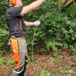 Wegepflege Hammerwerk auf der Donauwell