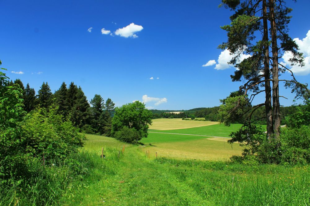 donauwelle-kraftstein-runde-risiberg