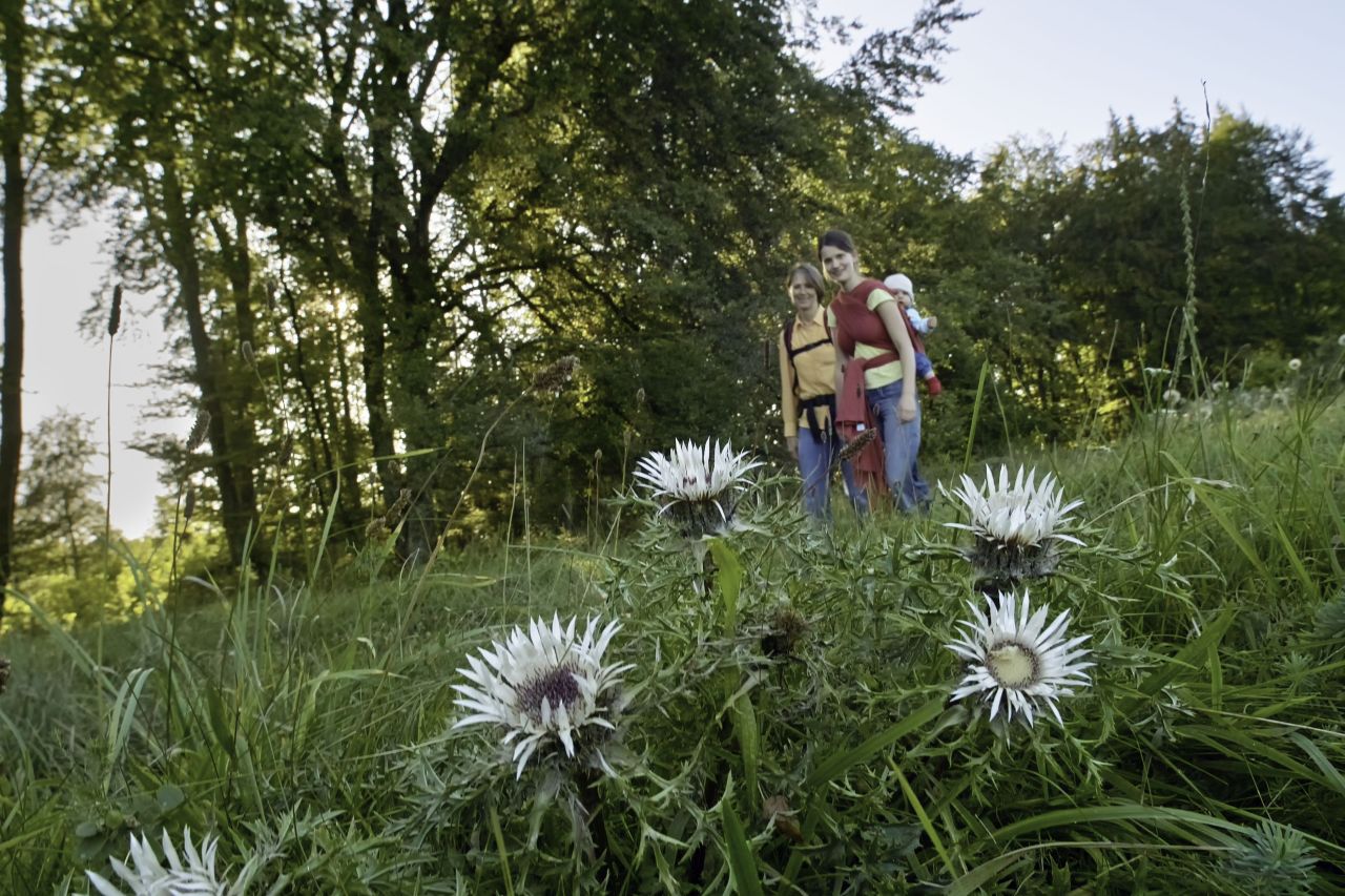 kraftstein-runde_foto-andreas-beck