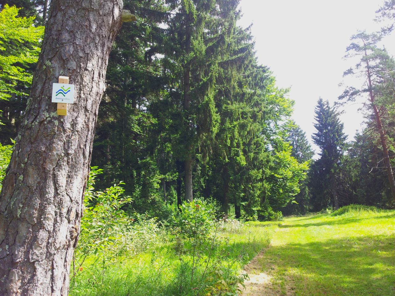 kraftstein-runde_markierung_donauwellen