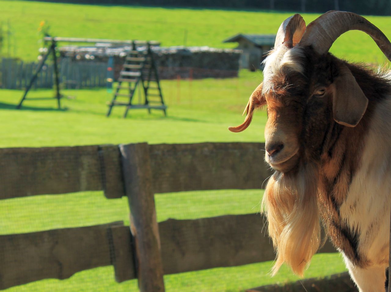 kraftstein-runde_spielplatz-risiberg