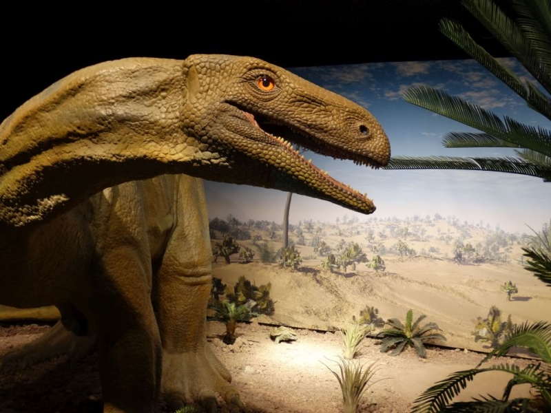 dinosaurier-museum-auberlehaus-trossingen
