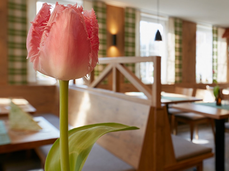 donaubergland_gastraum