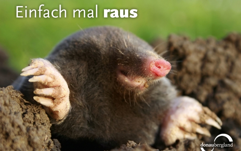 Raus in die Natur mit Abstand