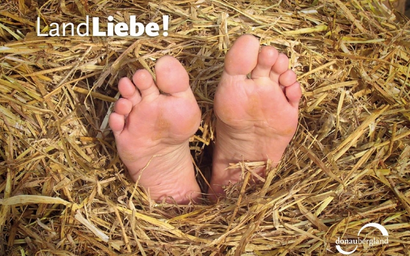 landliebe freilichtmuseum neuhausen ob Eck donaubergland