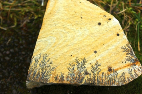 nusplinger-plattenkalk