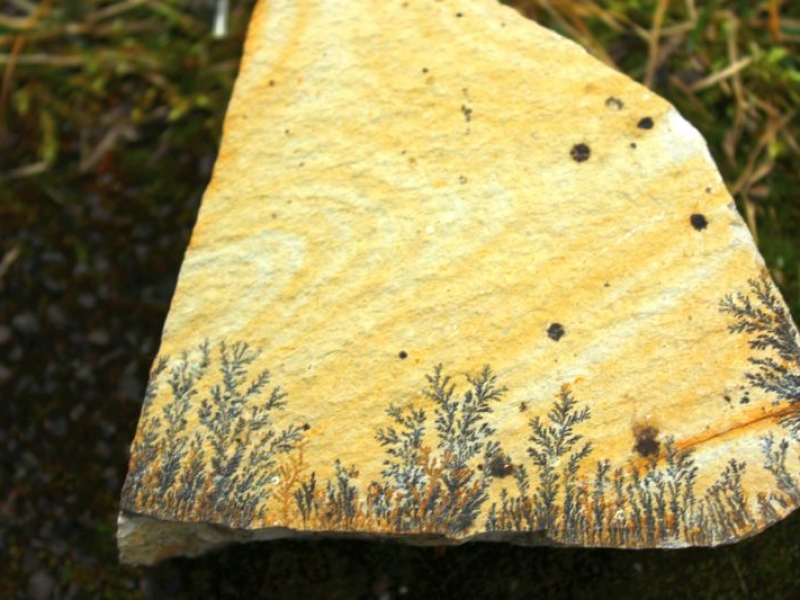 nusplinger-plattenkalk