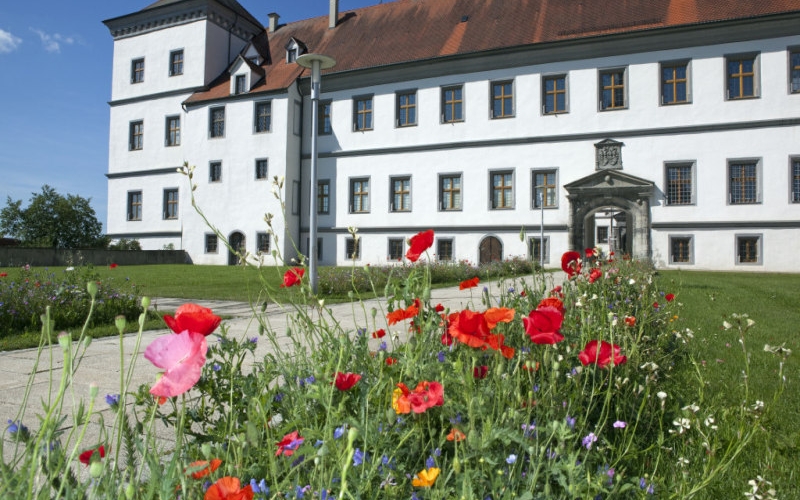 Schloss Meßkirch mit bunten Blumen am Wegrand