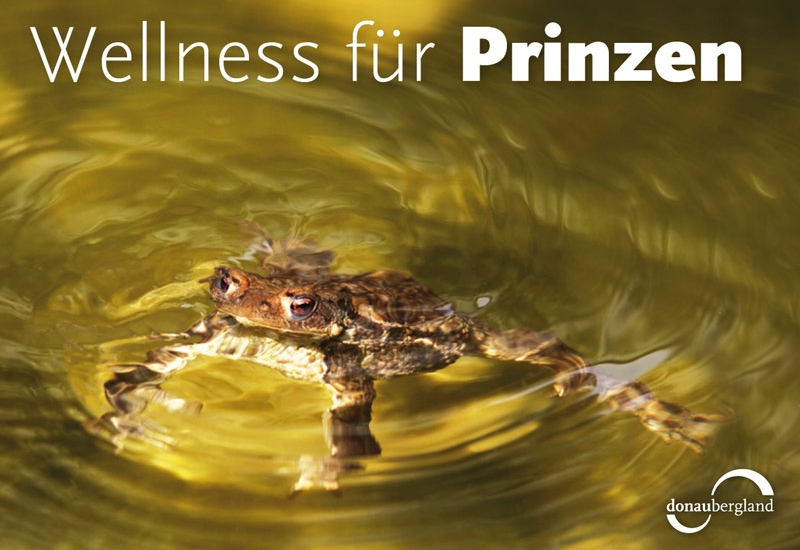 wellness-fuer-prinzen
